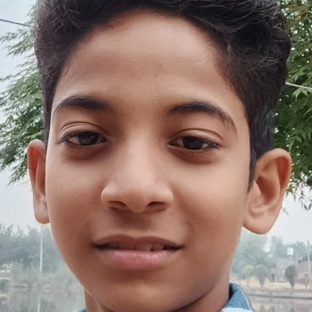 Palk noor